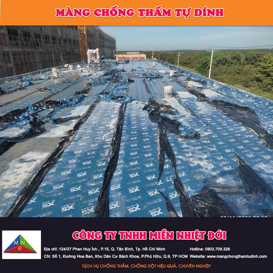 Màng chống thấm tự dính
